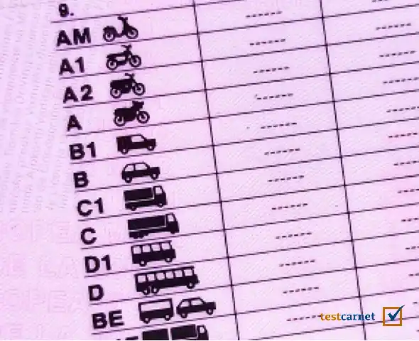 Si un conductor pierde su saldo total de puntos, ¿puede perder la vigencia de su permiso de conducción?