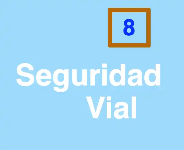 Tema 08 Seguridad Vial
