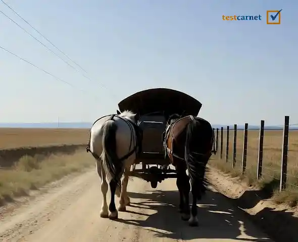 ¿Está permitido circular por una autovía con un vehículo de tracción animal?