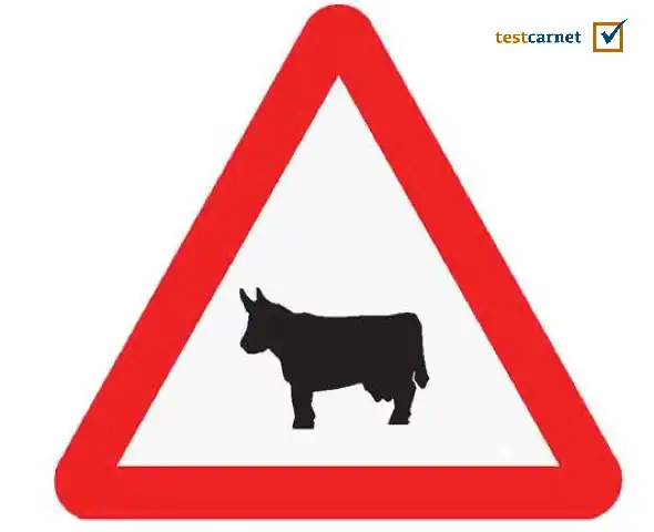 ¿Qué indica esta señal?